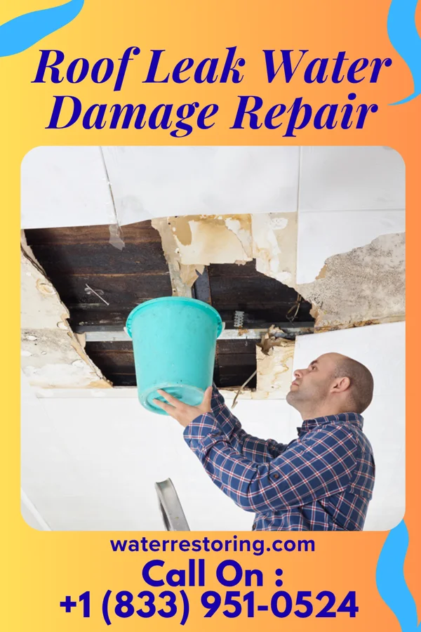 Roof Leak Water Damage Repair in Carl, GA