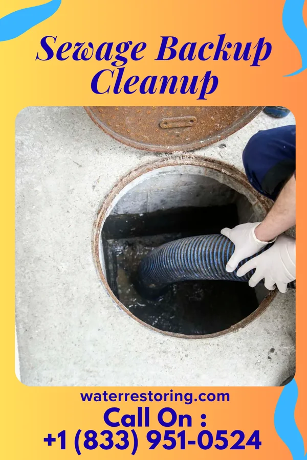 Sewage Backup Cleanup in Carl, GA