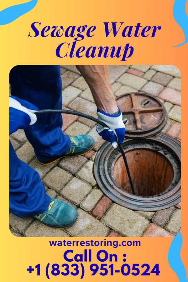 Sewage Water Cleanup in Carl, GA